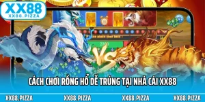 Rồng Hổ