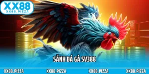 sảnh đá gà SV388